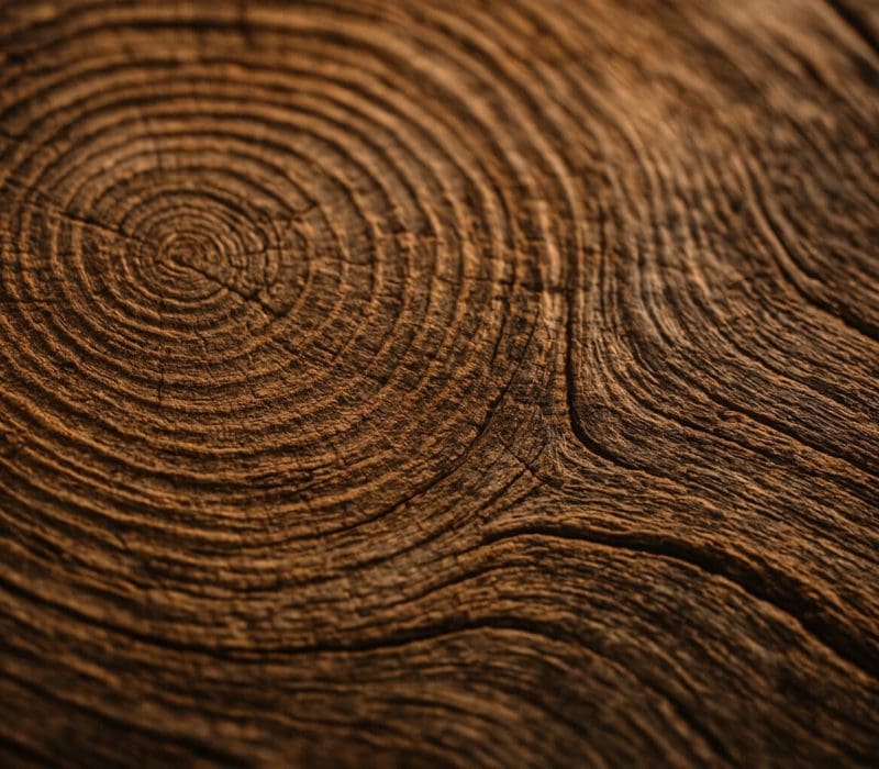 20250412_0131_Wood Grain Serenity_simple_compose_01jrkk2swrfcg8cn1q19qt2hzz 20250412_0131_Wood Grain Serenity_simple_compose_01jrkk2swrfcg8cn1q19qt2hzz